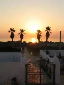 Masseria Fortificata Donnaloia - 56