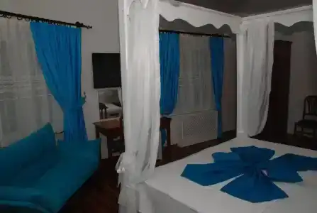 Mavi Inci Park Otel - 82