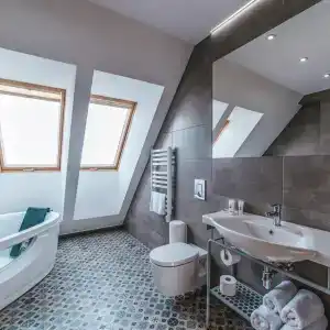 Paryski Art & Business Zakopane - Basen Jacuzzi Sauna Małpi Gaj - 30