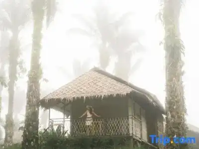 Khaosok Boutique Hideaway - 87
