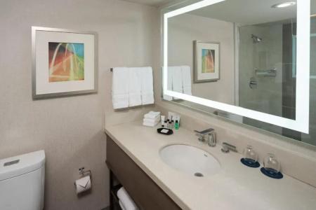 Sheraton Dallas by the Galleria - 67