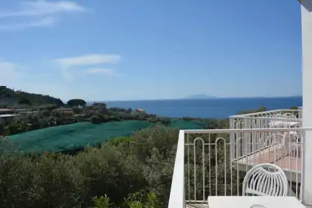 Dania - 84