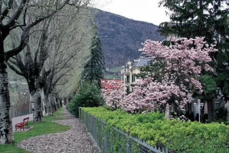 Westend - 4