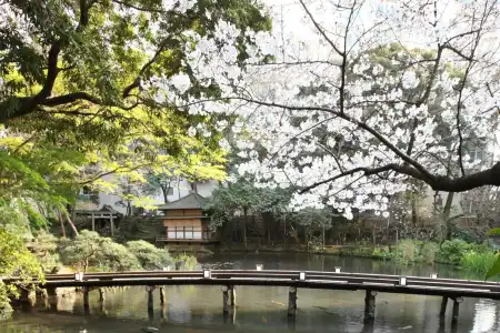 Garden Square Shizuoka - 14