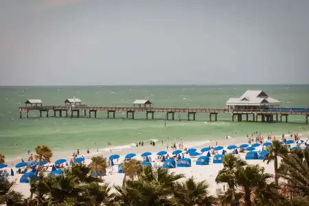 Hyatt Regency Clearwater Beach Resort & Spa - 25