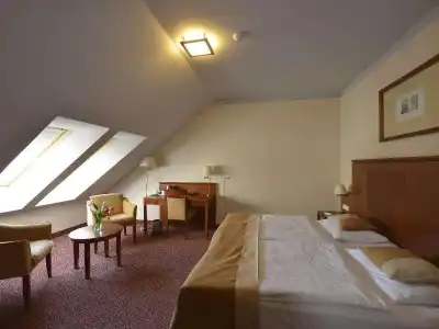 Mercure Szekesfehervar Magyar Kiraly - 40