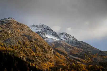 B&B St Moritz - 69