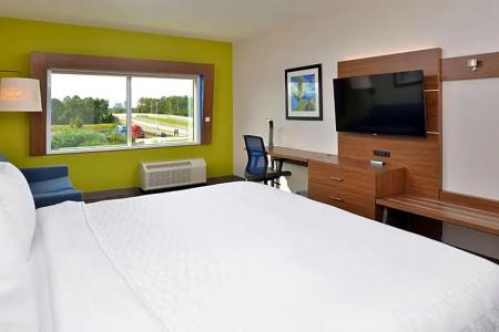 Holiday Inn Express Orlando – South Park by IHG - 88