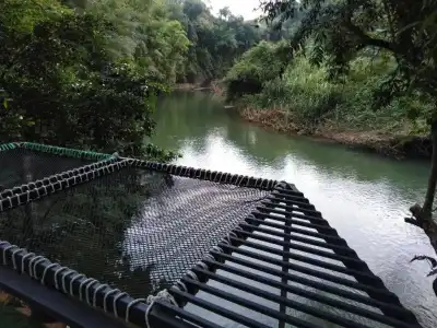 Khaosok River Camp - 42