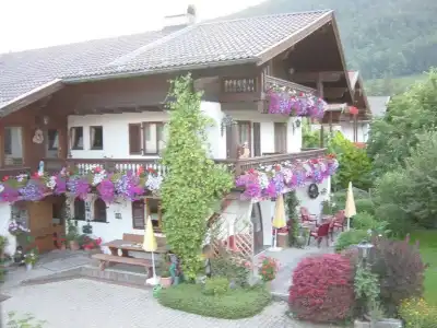 Hahn Ferienhotel - 9