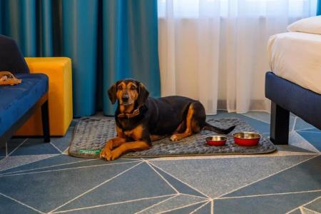 ibis Styles Bad Reichenhall - 45