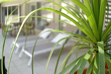 Eden Beach Apartments - 123