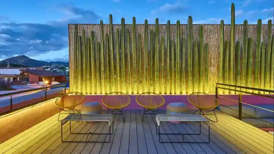 City Centro by Marriott Oaxaca - 13
