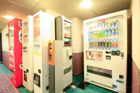 Niigata Station - 10