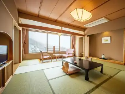 Zao International - 53
