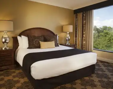 Omni Houston - 5