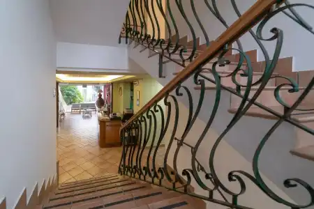 Ristorante Il Ceppo - 23
