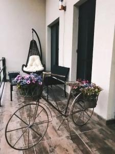 Belmonte Kazbegi - 15