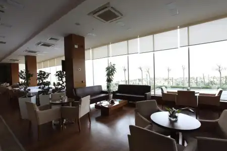 Orucoglu Oreko - 22