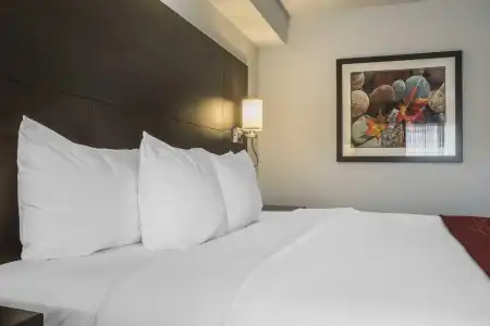 Comfort Inn Leamington - 25