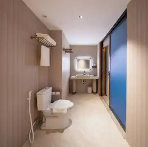 Hanting Ho Chi Minh City Downtown (汉庭国际胡志明市中心酒店) - 185