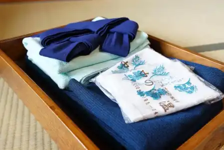 Nakanoyu Onsen Ryokan - 18