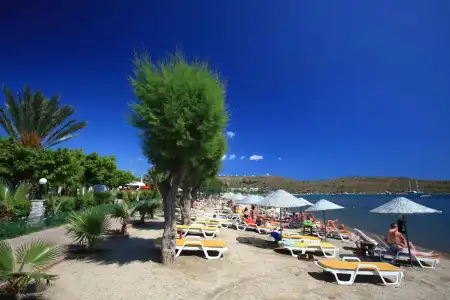 Parkım Ayaz - 23