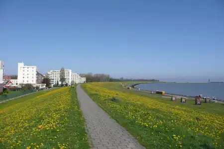 SeeNeue Liebe - 2