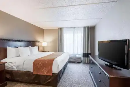 Comfort Suites Austin Airport - 39