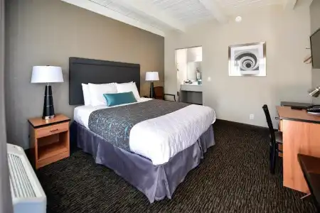 City Center Inn & Suites - 40