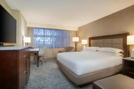 Hilton Tampa Downtown - 65