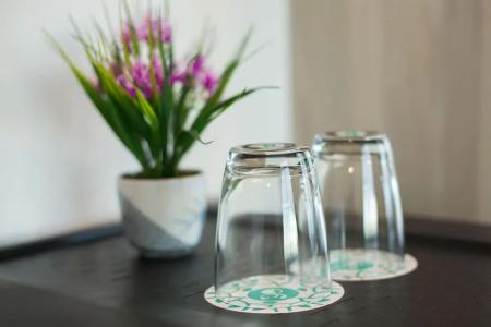 Evergreen Suite - 25