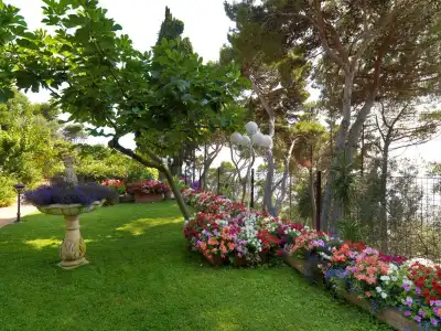 Villa Brunella - 38