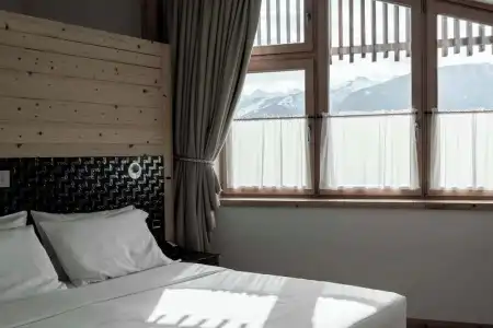 Orso Grigio - 50
