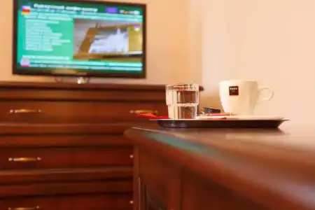 Danubius Health Spa Resort Centrální Lázne - 51