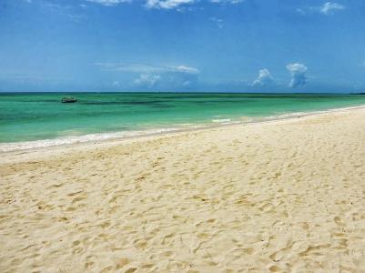 Pongwe Beach - 21