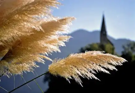 Tollhof - 3