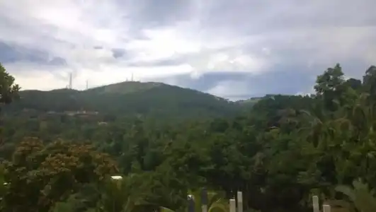 Sarala Residence - 9