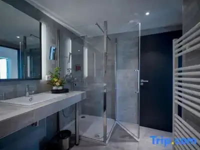 Best Western Plus Central Park & Spa - 54