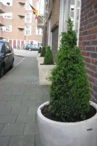 Flipper Amsterdam - 15