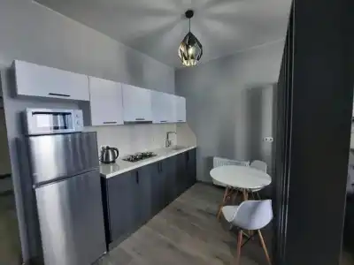 Apartment on Pirosmani 1 - 15