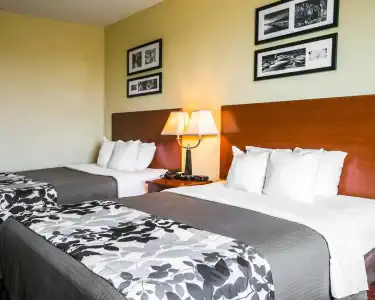 Sleep Inn & Suites New Braunfels - 5