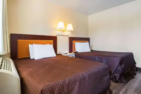Rodeway Inn Kissimmee Maingate West - 5
