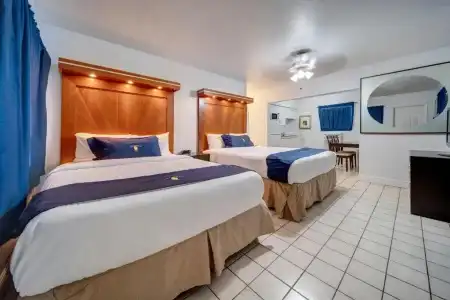 The Palms - 28