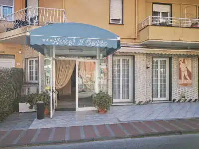 Il Gatto - 0