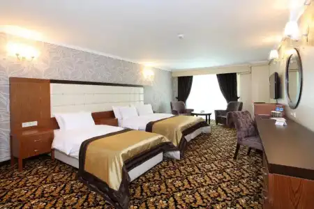 Arya Business Deluxe - 4