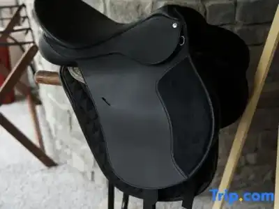 Pana Nomad Kolsay - 162