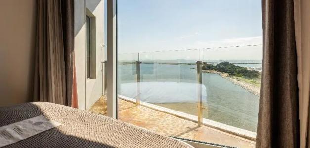 Nest, a Member of Designs - 81