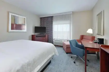 Hampton Inn & Suites Abilene I-20 - 58