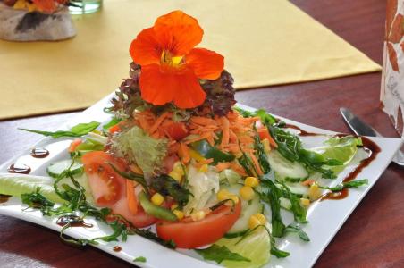 Schöne Aussicht - 12